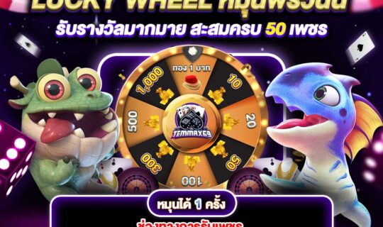 temmax69-กงล้อ